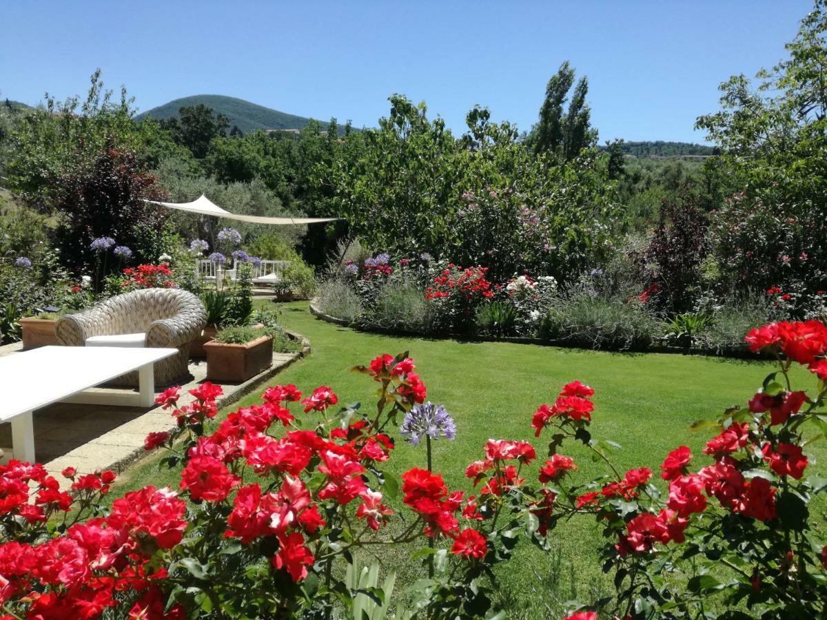 Agriturismo Podere Il Fornacino Santa Luce Eksteriør billede